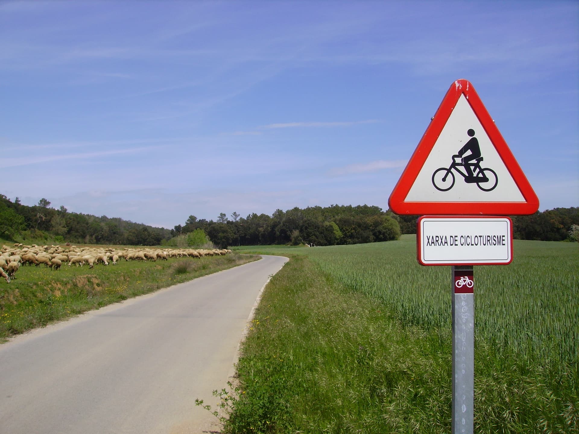 Vies Verdes à vélo depuis Pals : itinéraires Empordà et Costa Brava