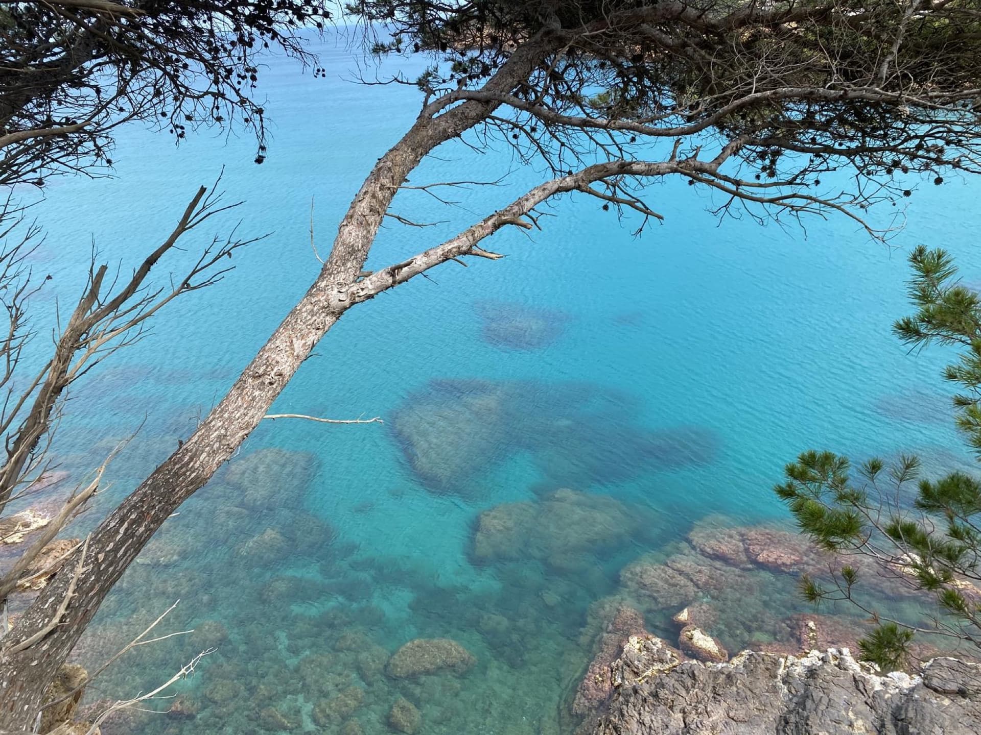 Environment
